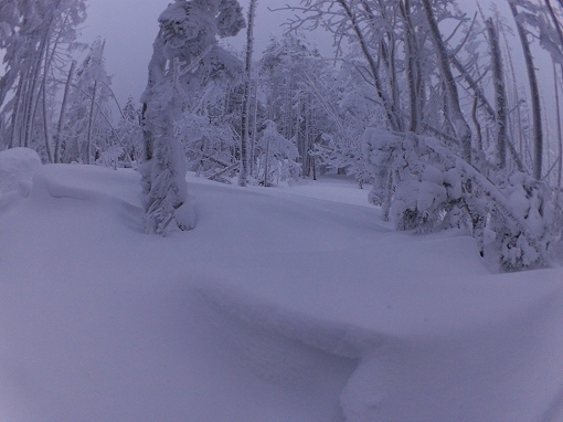 「縞枯山」2021/01/09