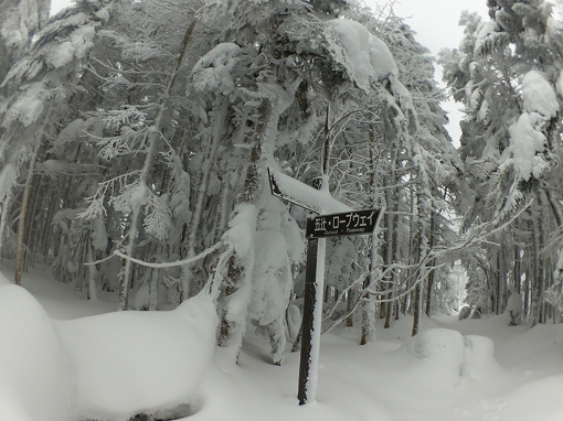 「縞枯山」2021/01/09