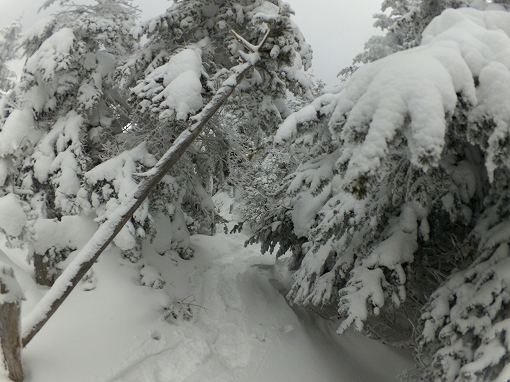 「縞枯山」2021/01/09