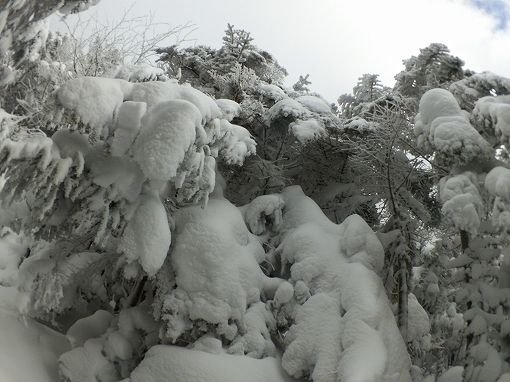 「縞枯山」2021/01/09