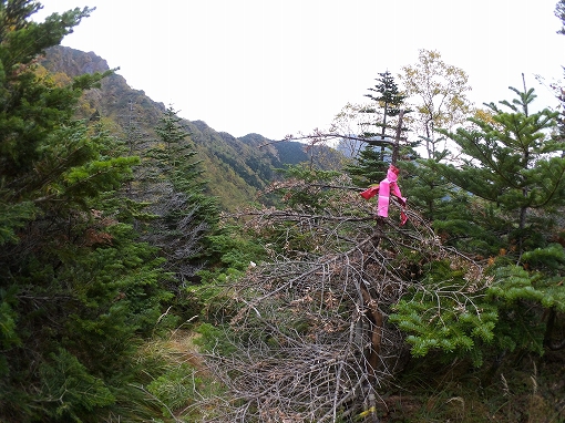 「阿弥陀岳 南陵」2021/09/25