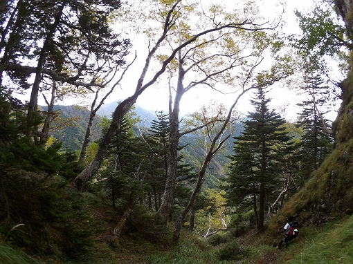 「阿弥陀岳 南陵」2021/09/25