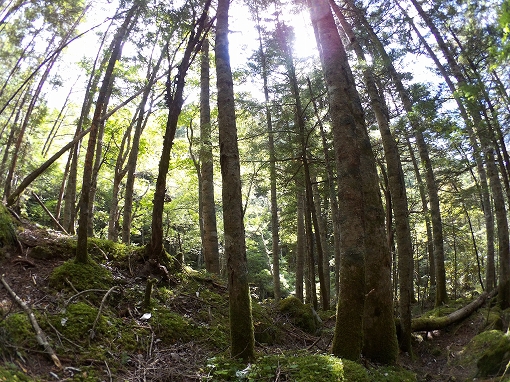 「阿弥陀岳 南陵」2021/09/25