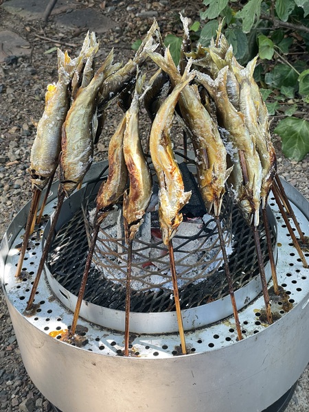 たて焼き君で吉田川の鮎焼き焼きィィ^ ^