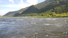 九頭竜川 大野島に浸かる^_^