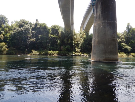 ７月２１日(日)長良川中央で鮎釣り(*ﾟ▽ﾟ)ﾉ