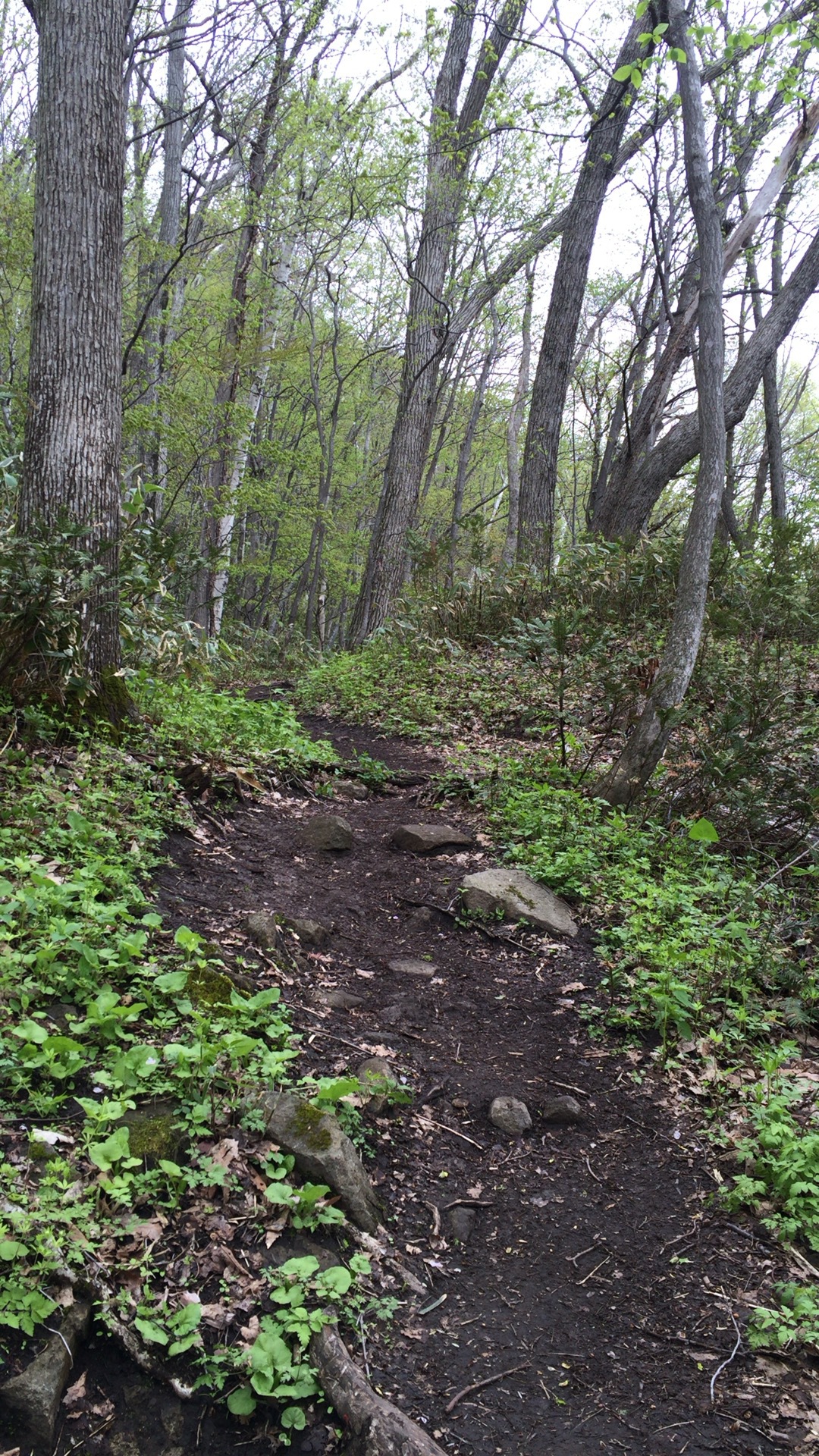 怖かった 八剣山登り