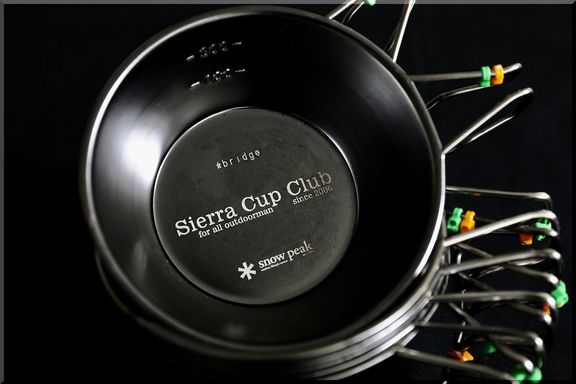Sierra cup