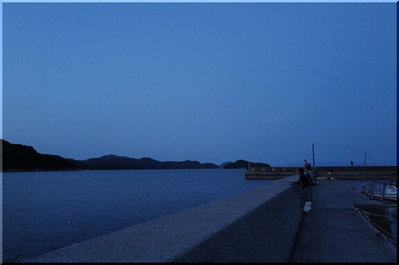 CITROEN BERLINGO オフ会 in 片添ヶ浜海浜公園AC　2024