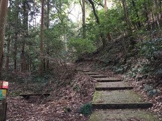 暴風岩湧山　76　嫁登山！（16）　　＆　　金剛山 青崩　77 2017/02/23 14:46:09