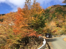 行者還岳　ナメゴ谷紅葉　　　　90 2017/11/08 16:22:13
