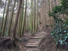 雪の金剛山でクマ目撃  　　92　嫁（25） 2018/01/31 13:04:59