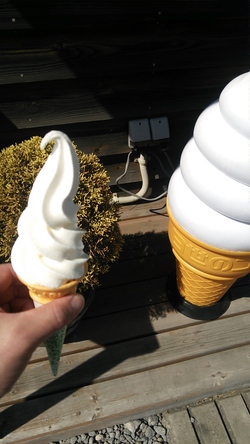 ソフトな季節。
