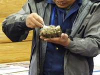 巣箱作りに