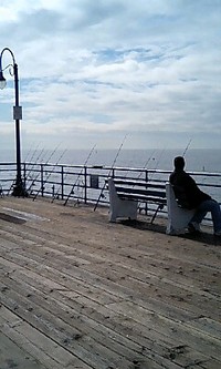 埠頭は○○だらけ！ 2007/02/26 07:43:52