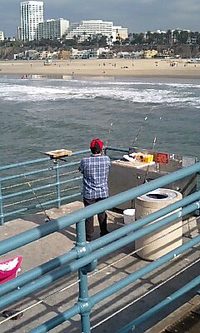 埠頭は○○だらけ！ 2007/02/26 07:38:11