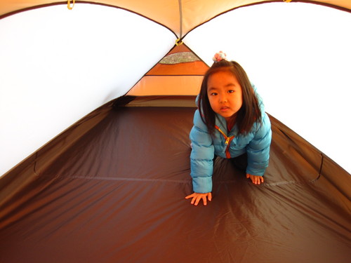 THE　NORTH　FACE　BIG　FAT　FROG　２４