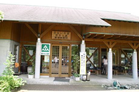 出会いの森オートキャンプ場