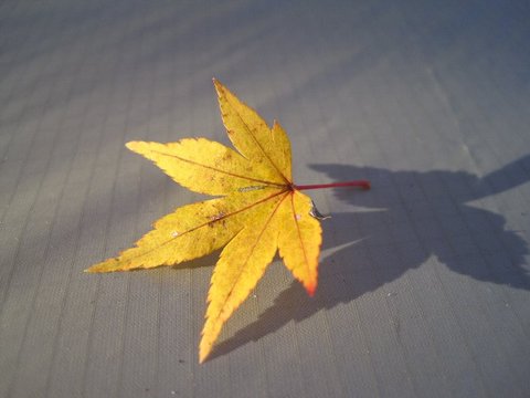 アルピニストyuma主催テン泊講習会（大倉高原山の家）