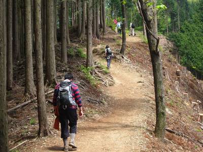 奥高尾縦走（高尾山～陣場山）