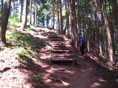 奥高尾縦走（高尾山～陣場山）