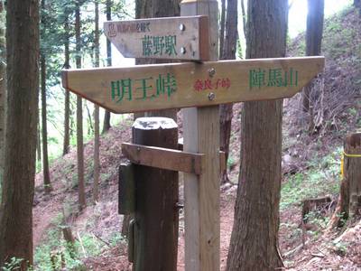 奥高尾縦走（高尾山～陣場山）