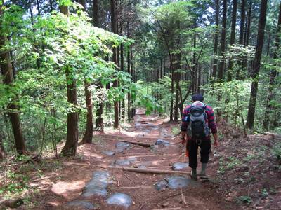 奥高尾縦走（高尾山～陣場山）
