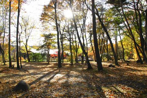 日光だいや川公園オートキャンプ場