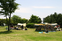 若洲海浜公園キャンプ場