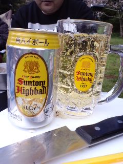 花見キャンプ