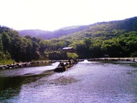 初釣行の戸神の池で多魚種に臨む