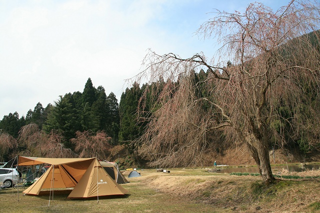 ＊　お花見キャンプ　2012　IN　リバーランズ角川　＊