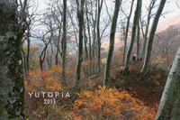 ＊　ユートピア　三鈷峰　＊　秋の大山登山