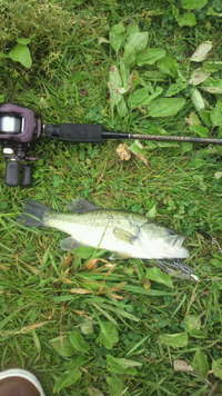 野池 2011/05/28 22:18:20