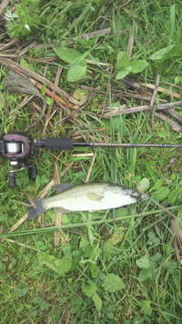 野池 2011/05/29 14:17:51