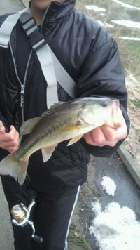 バス♪ 2011/03/17 18:25:29