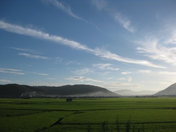休日の朝
