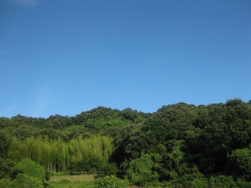 休日の朝
