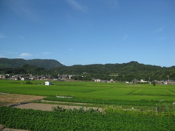 休日の朝