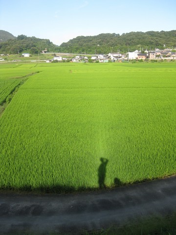 休日の朝