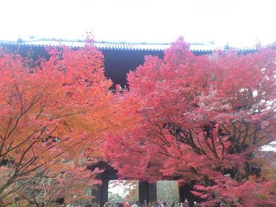紅葉の京都