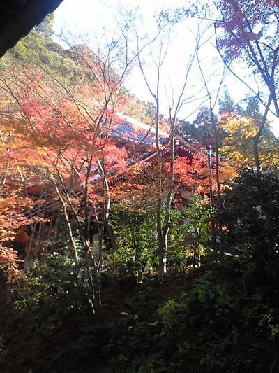 紅葉の京都