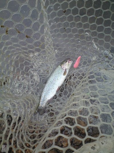 大崎つりぼりでルアー釣行