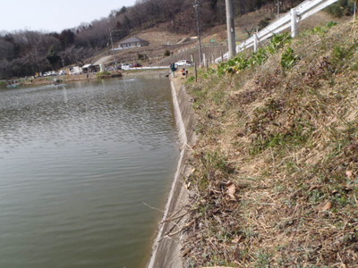 伊古の里ＦＰ