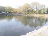 中乃沢釣行
