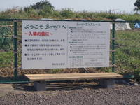 ベリーズ青柳へ