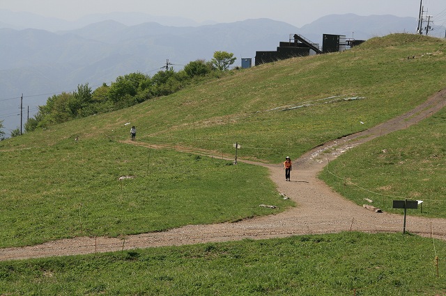 ＊やっぱり素敵な百名山　　伊吹山登山　＊