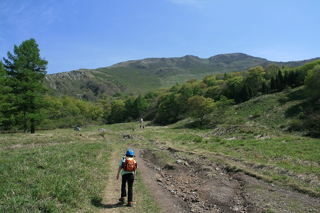 ＊やっぱり素敵な百名山　　伊吹山登山　＊