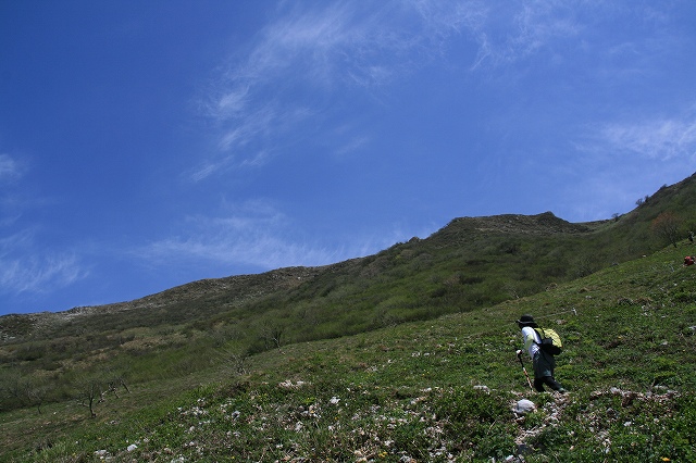 ＊やっぱり素敵な百名山　　伊吹山登山　＊