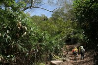 ＊　秋の縦走　白馬岳　＊栂池～白馬大池山荘編　